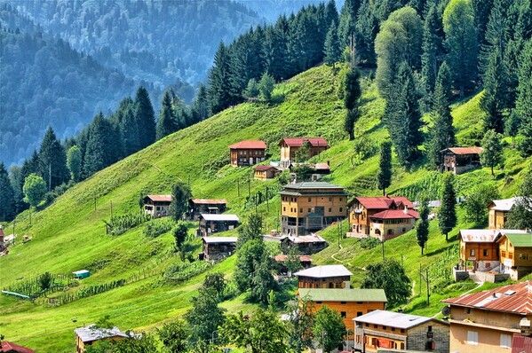 Rize Ayder Yaylası Turu